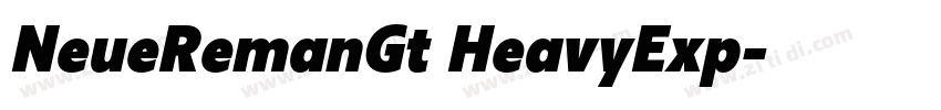 NeueRemanGt HeavyExp字体转换